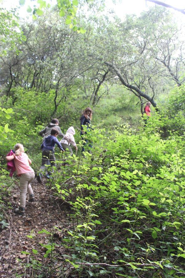 Nature Space Хабуго Екстериор снимка